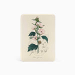 Botanic Study - Kindle Case - Joylife Case