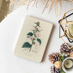 Botanic Study - Kindle Case - Joylife Case
